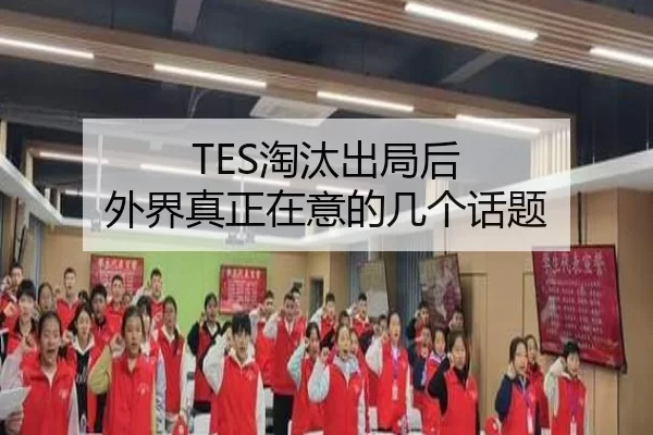 TES淘汰出局后 外界真正在意的几个话题